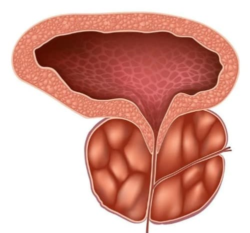 Urotax opiniones